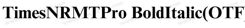 TimesNRMTPro BoldItalic(OTF)字体转换